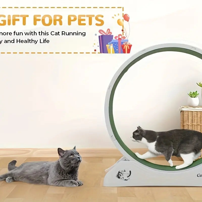 1Pc Whisker Wheels Fitness Pro - Carpeted Indoor Cat Running Wheel with Locking System, Treadmill Exerciser for Cats' Health, Fitness